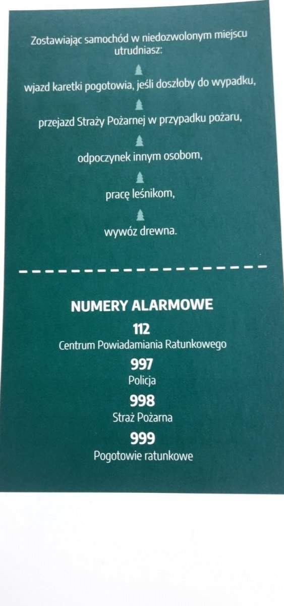 Infografika na której na zielonym tle przedstawione są napisy oddzielone od siebie pojedynczymi choinkami, które informują jakie niepożądane działania występują kiedy zostawimy pojazd w niedozwolonym miejscu w okolicach lasów. Dolna część grafiki poświęcona jest podstawowym numerom alarmowy