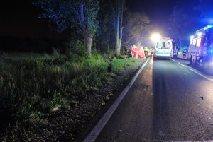 Wypadek na DK 78 w Boguchwałowicach