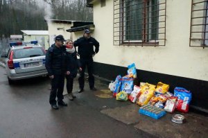 Ruszyli z pomocą bezdomnym czworonogom