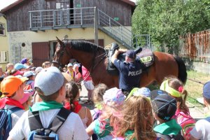 Młodzi mundurowi z wizytą w oddziale Policji konnej