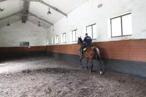 Młodzi mundurowi z wizytą w oddziale Policji konnej