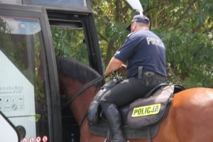 Młodzi mundurowi z wizytą w oddziale Policji konnej