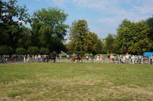 Niepodległościowy festyn z policyjnymi atrakcjami