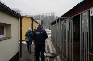 Będzińscy stróże prawa pomagają bezdomnym czworonogom