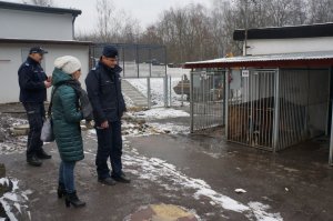 Będzińscy stróże prawa pomagają bezdomnym czworonogom