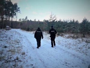 Strażnik leśny i policjant idący wzdłuż drogi w lesie.