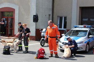 Przewodnik psów ratowniczych pokazuje ich umiejętności i opowiada o ich pomocy podczas różnych akcji, w których biorą udział.