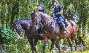 Policjanci jadący na koniach podczas patrolu służbowego.