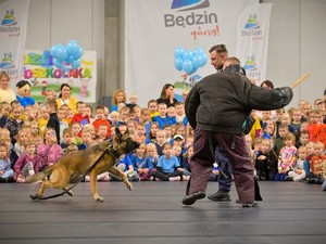 Pokaz z udziałem psa policyjnego dla zgromadzonych na hali przedszkolaków.
