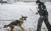 Na zdjęciu pies służbowy i umundurowany policjant.