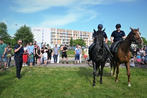 Na zdjęciu widzimy grupę osób wokół dwóch policyjnych koni podczas pokazu.