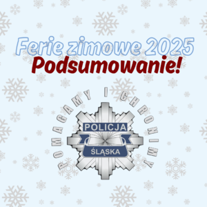 Grafika Ferie zimowe 2025 Podsumowanie.