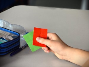 Na zdjęciu widzimy trzymane w dłoni dwie kartki koloru czerwonego i zielonego.